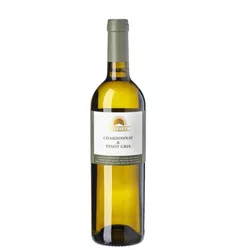 Sonberk Chardonnay Pinot Gris Pozdní sběr 2022 0,75l 13,5%